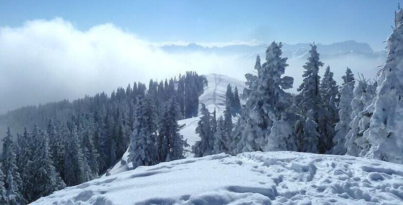 Pensionat Gästehaus Alpina