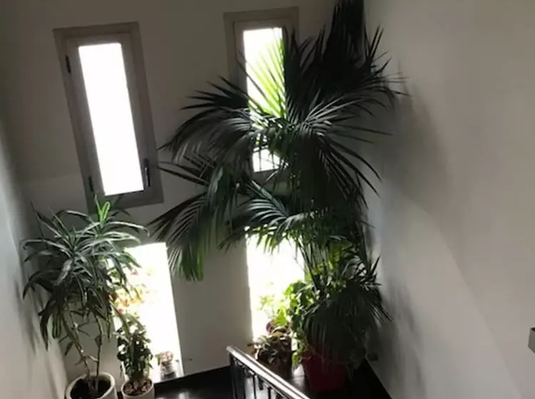 پانسیون Hostal Rica Posada