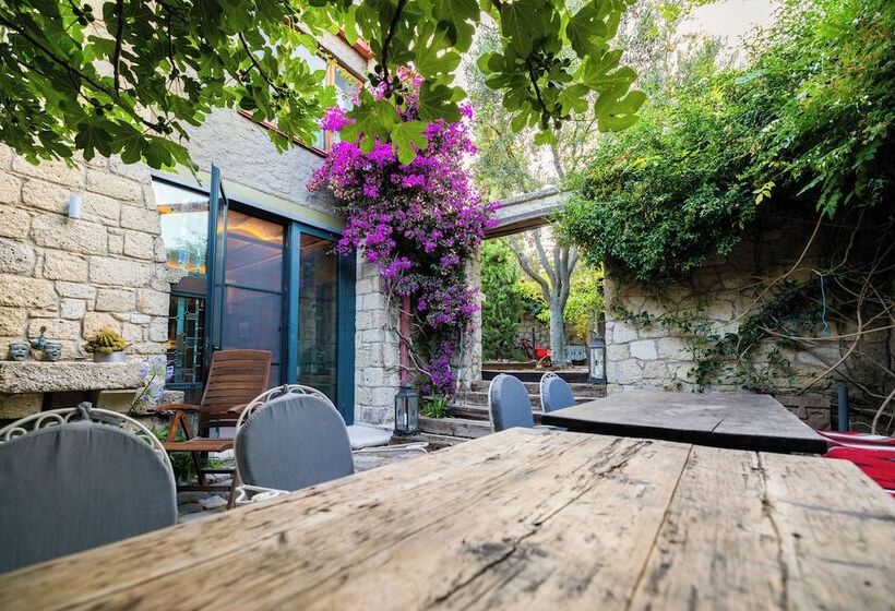 بنسيون Sakin Ev