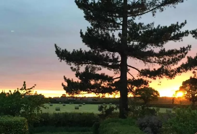 Majatalo Willow Tree Cottages