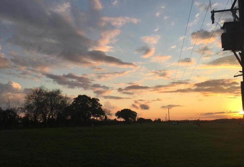 Пансион Willow Tree Cottages