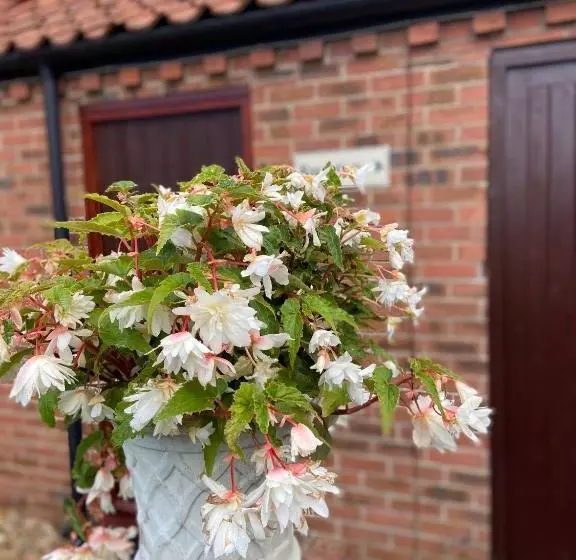 Majatalo Willow Tree Cottages