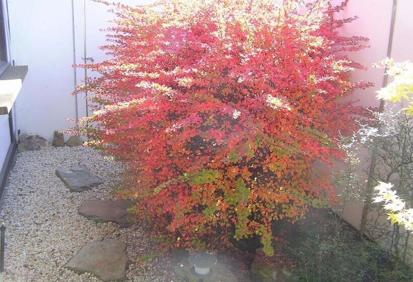 리조트 Shizuka Ryokan Japanese Country Spa & Wellness Retreat