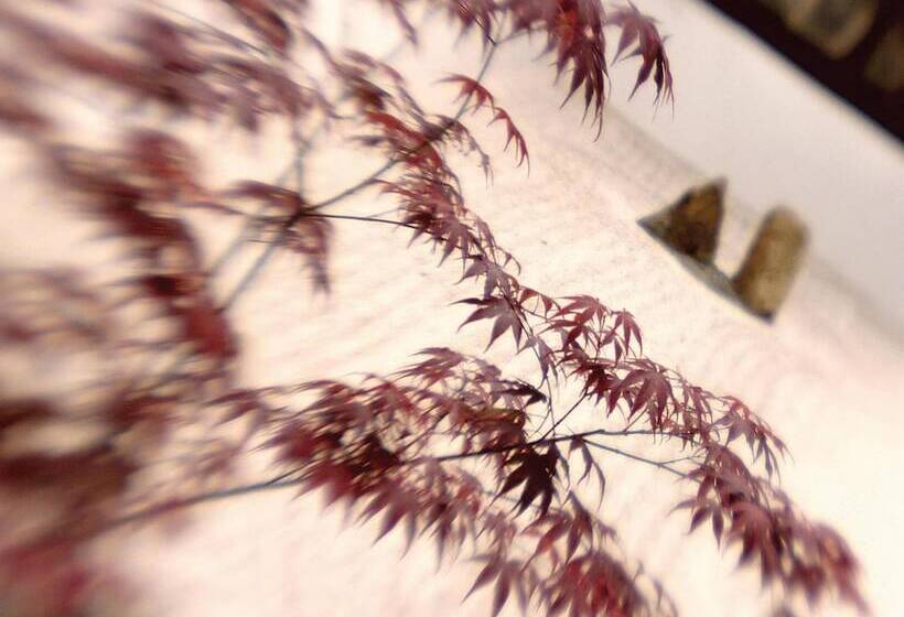 리조트 Shizuka Ryokan Japanese Country Spa & Wellness Retreat