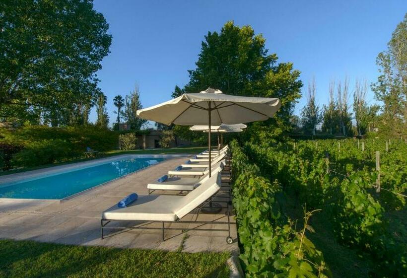 Hostel Posada Verde Oliva