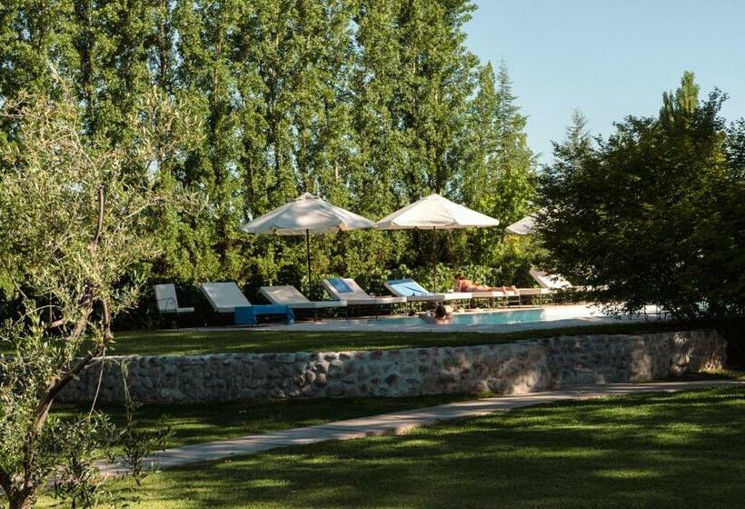 Hostel Posada Verde Oliva