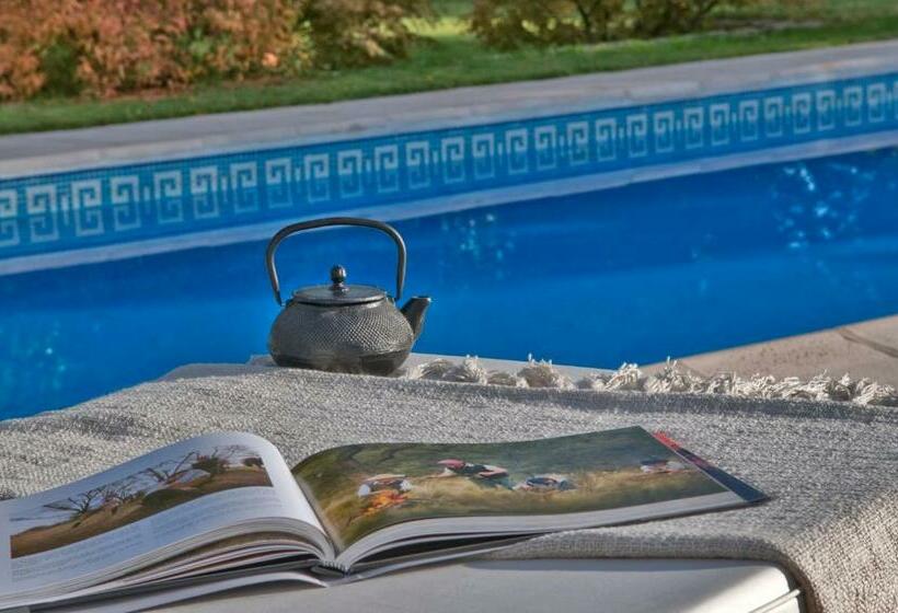 Hostel Posada Verde Oliva