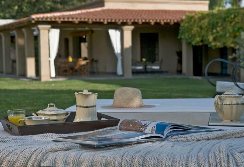 Hostel Posada Verde Oliva