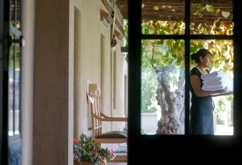 Hostel Posada Verde Oliva