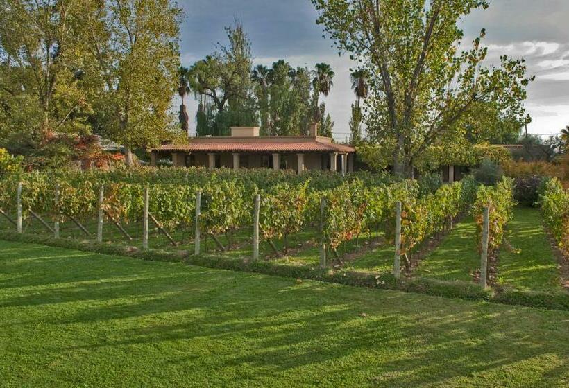 Hostel Posada Verde Oliva