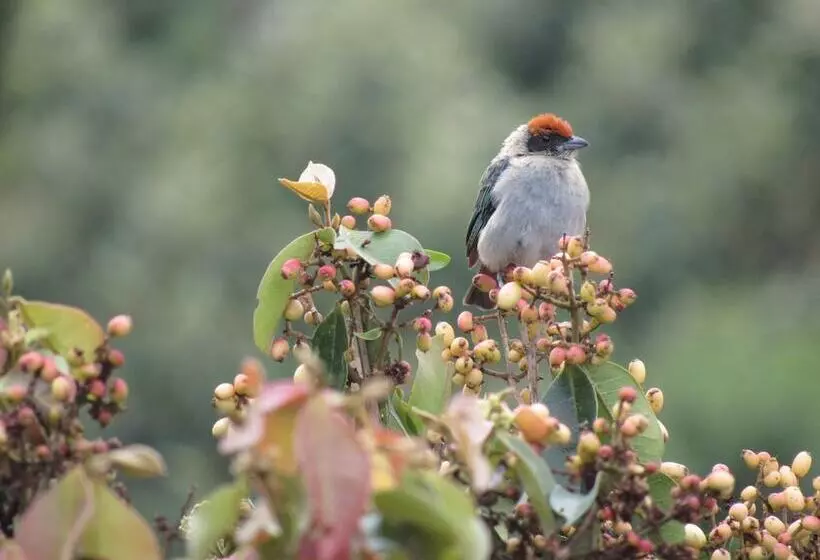 Hotelli Alto De Los Andaquies