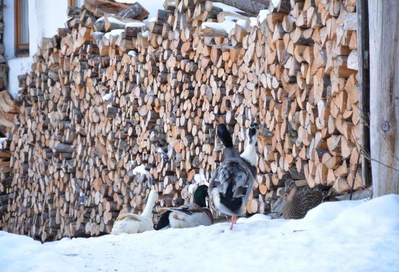 فندق Untersillerhof