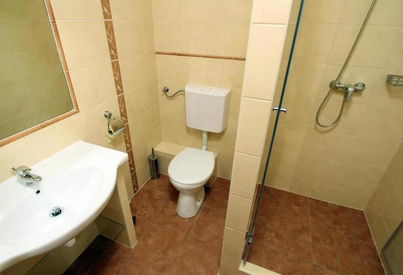 펜션 Family Panzio Es Apartman Hazak