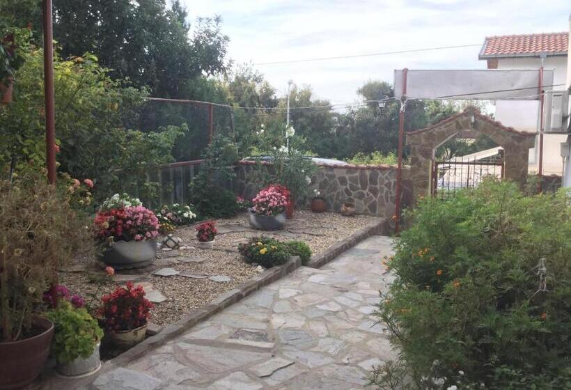 פנסיון Guest House Paskal