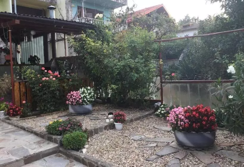ペンション Guest House Paskal