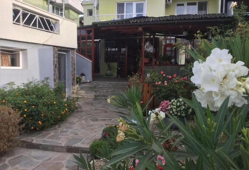 פנסיון Guest House Paskal