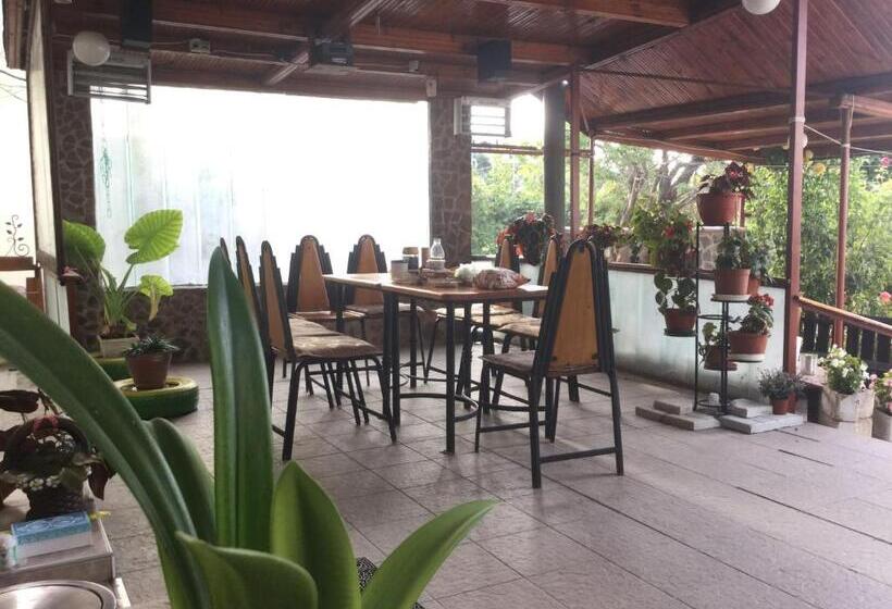 פנסיון Guest House Paskal