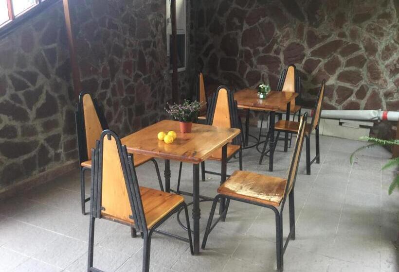 פנסיון Guest House Paskal