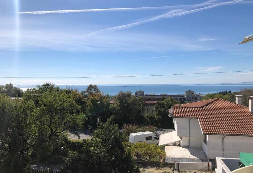 פנסיון Guest House Paskal