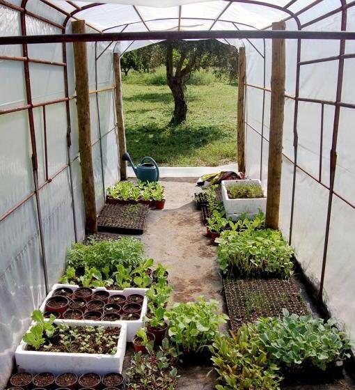 膳宿费 Monte Do Laranjal