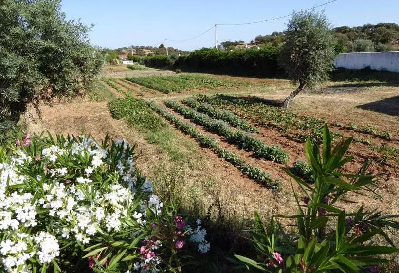 Majatalo Monte Do Laranjal