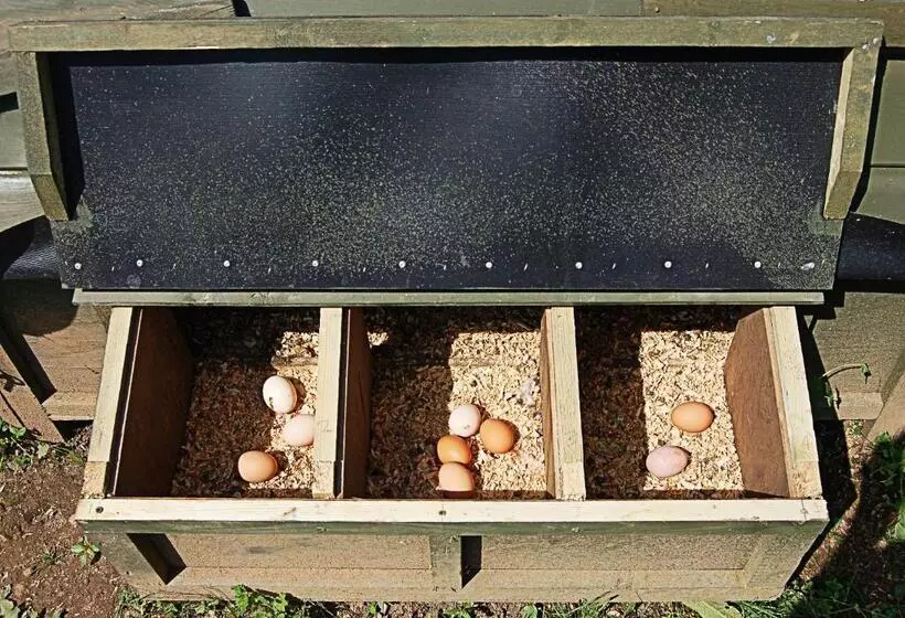 Majatalo Monte Do Laranjal