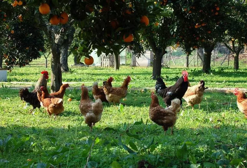 Majatalo Monte Do Laranjal