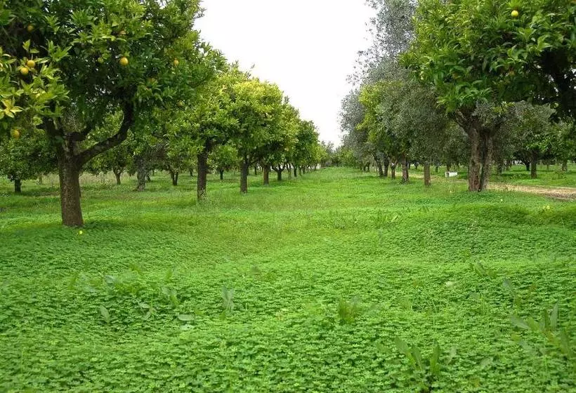 Majatalo Monte Do Laranjal