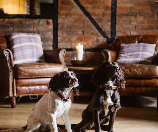 Retkeilymaja The Hawk Inn