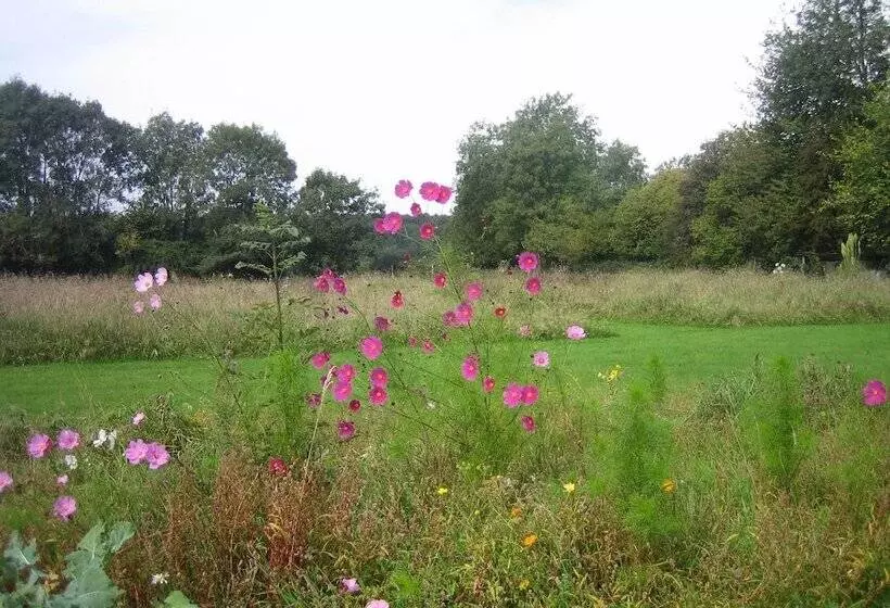 Aamiaismajoitus (B&B) Bambou Lodge