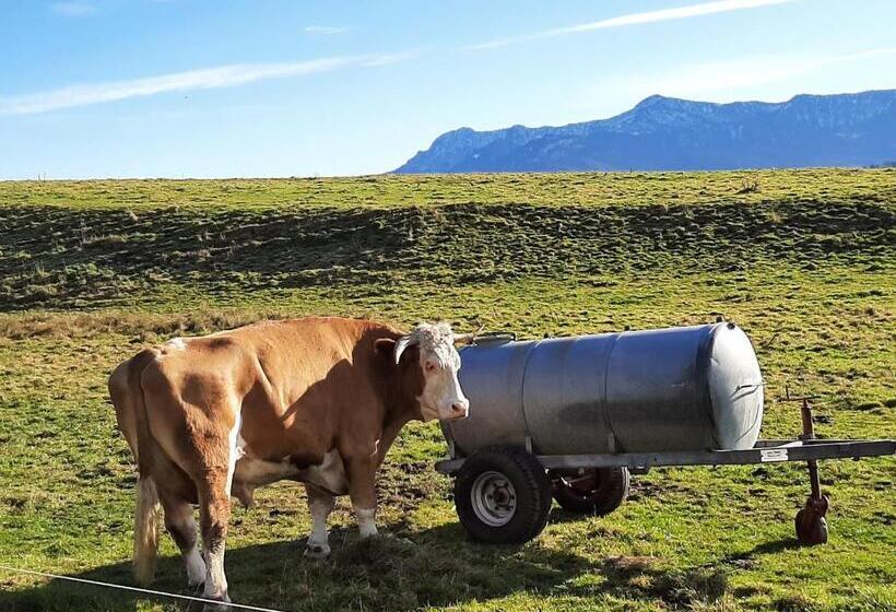 Boutique Hotel Angerer