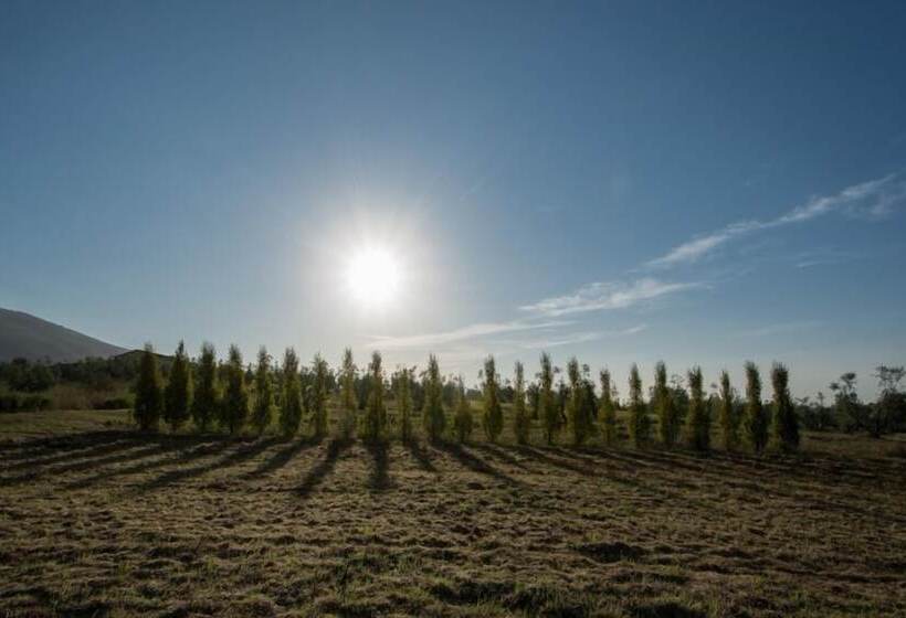 هتل Agriturismo La Torricella