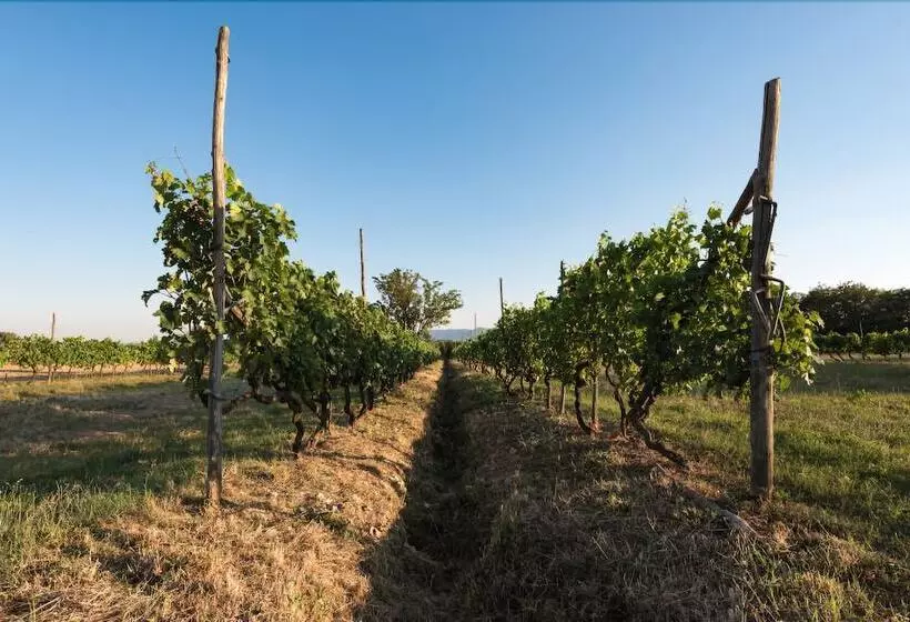 هتل Agriturismo La Torricella