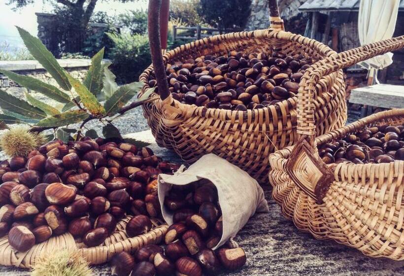 酒店 Agriturismo Treterre