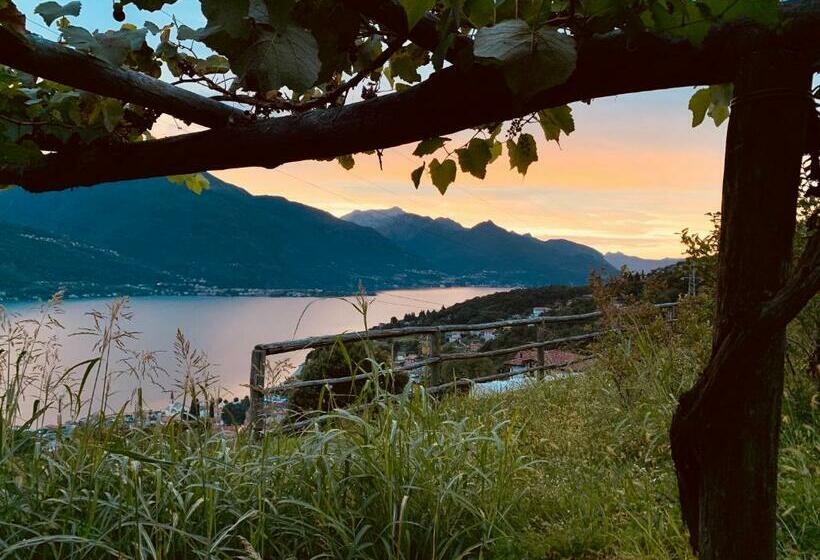 酒店 Agriturismo Treterre