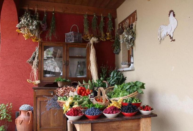 酒店 Agriturismo Treterre