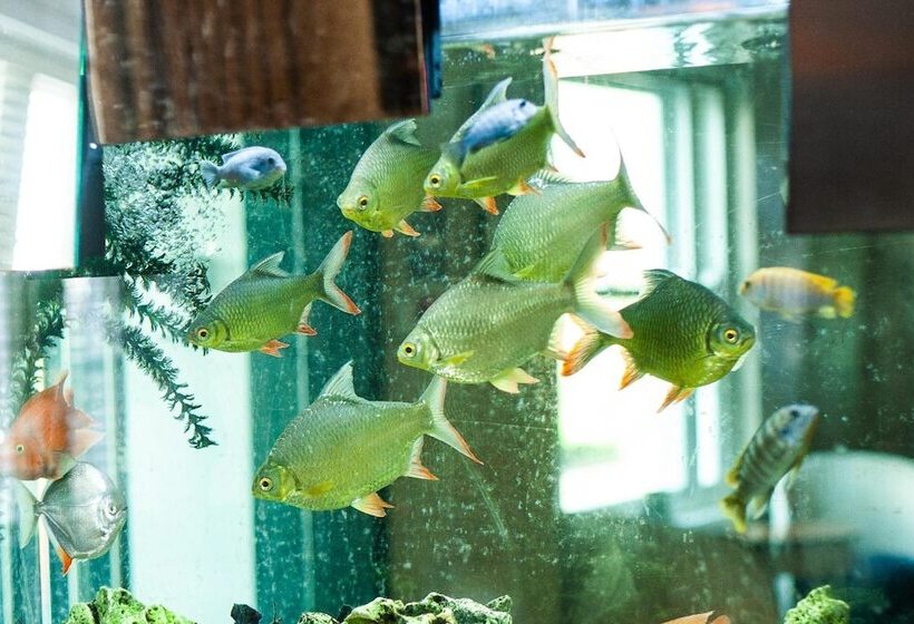 酒店 Berwick Manor