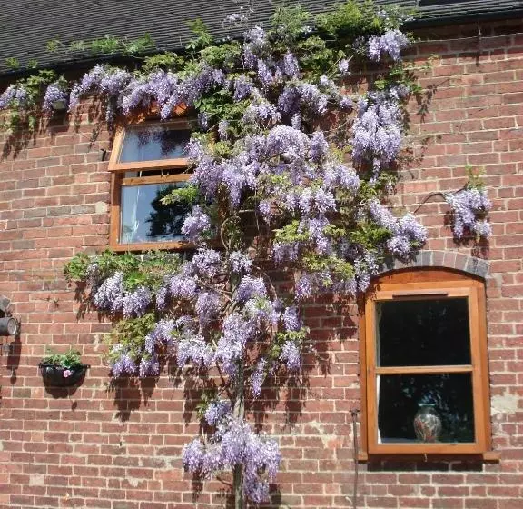 ホテル Highfields Farm B&b