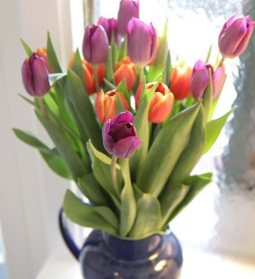 پانسیون Beaches