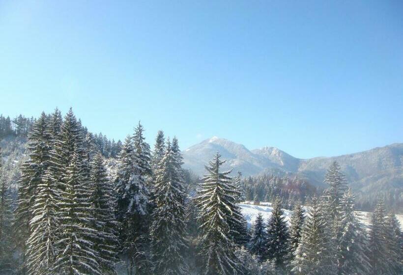 بنسيون Casa Anca Boutique