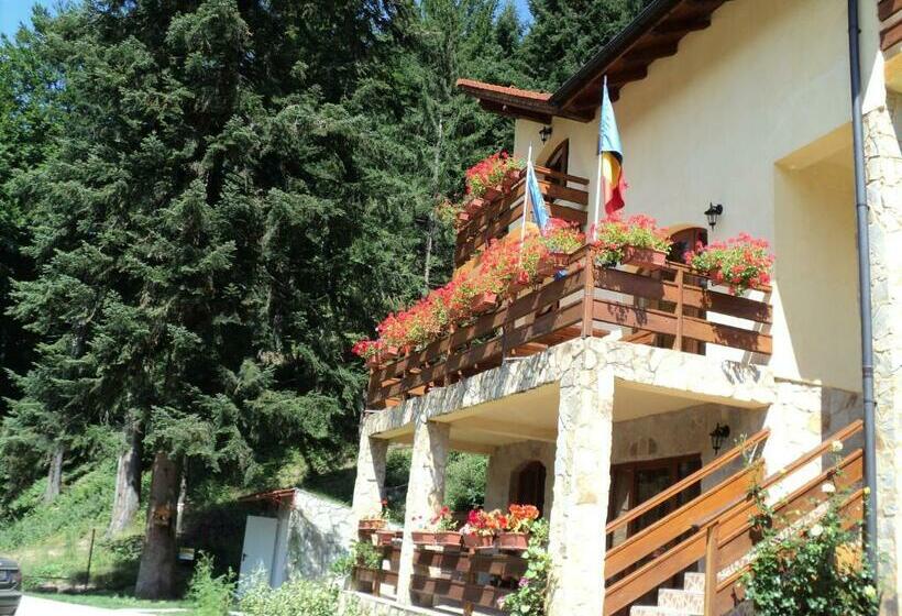 بنسيون Casa Anca Boutique