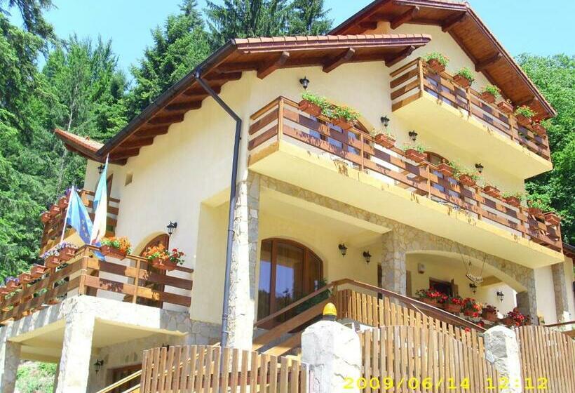 بنسيون Casa Anca Boutique