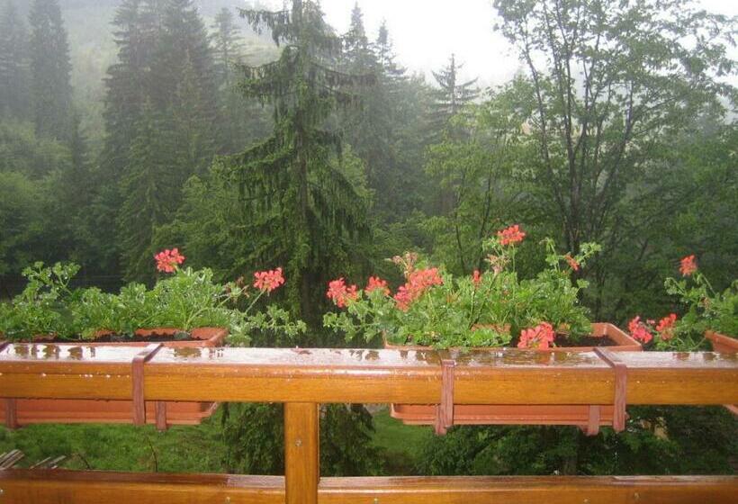 بنسيون Casa Anca Boutique