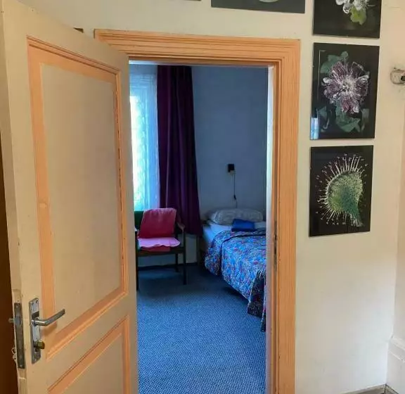 پانسیون Westhouse Retro