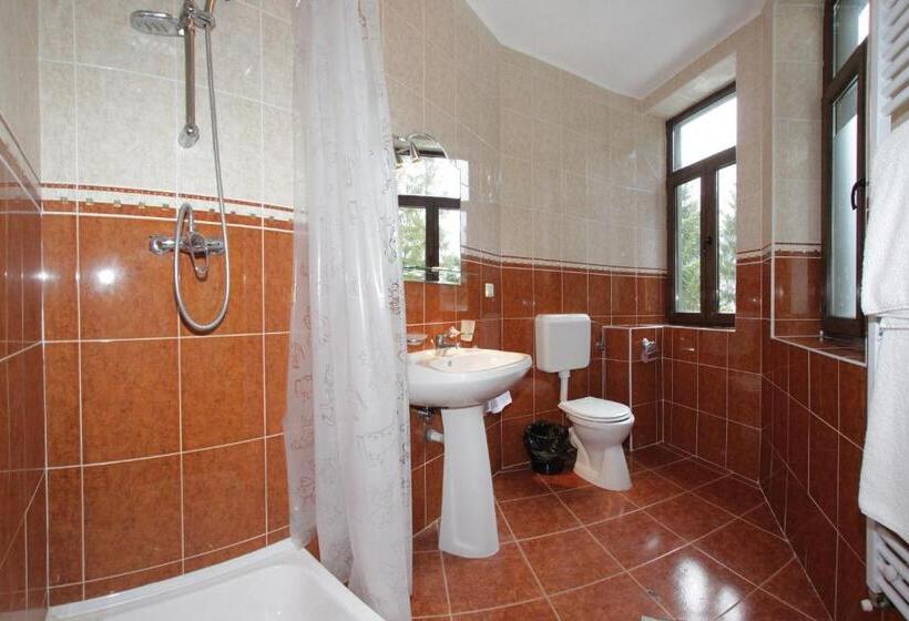 פנסיון Vila Acvila