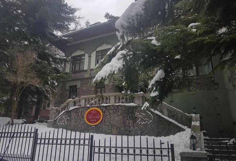 פנסיון Vila Acvila