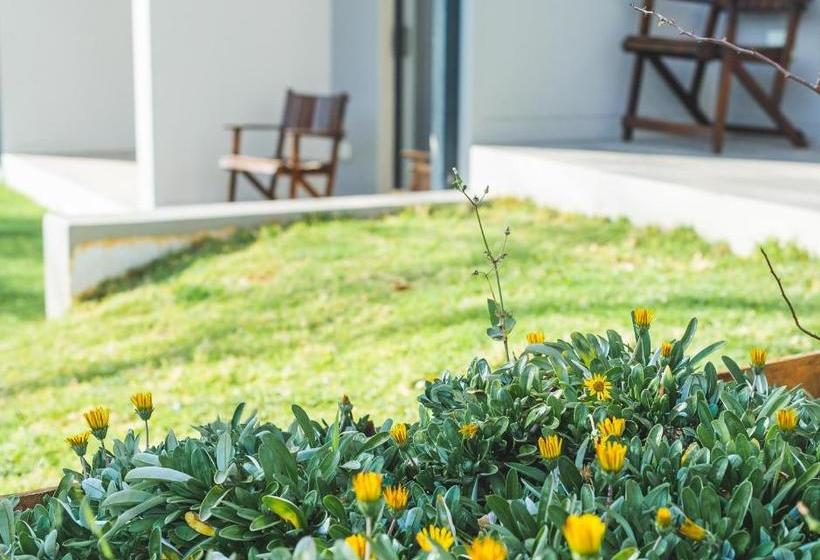 Pension The Wild Peach Menlyn