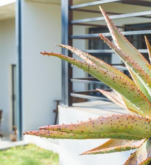 Pension The Wild Peach Menlyn