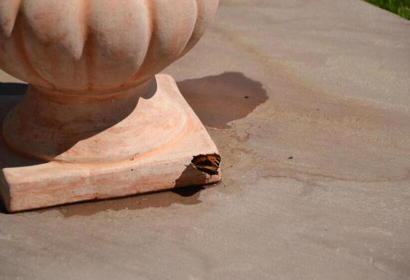 פנסיון Winklerhof Ebbs