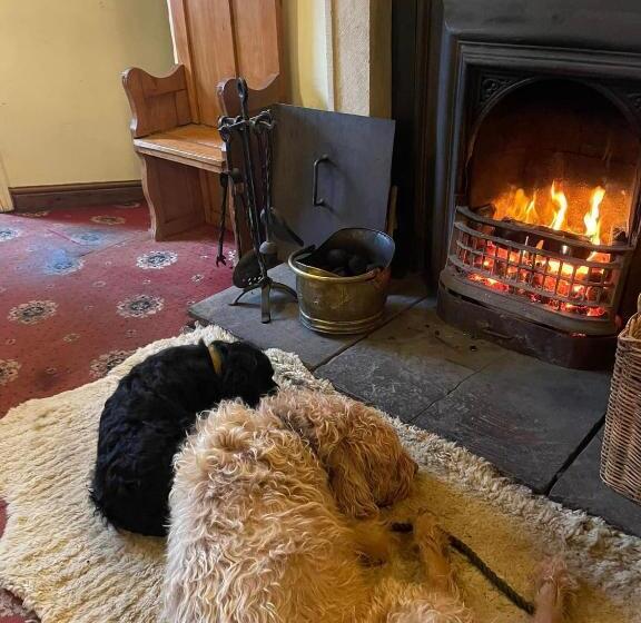 호스텔 The Bridge Inn